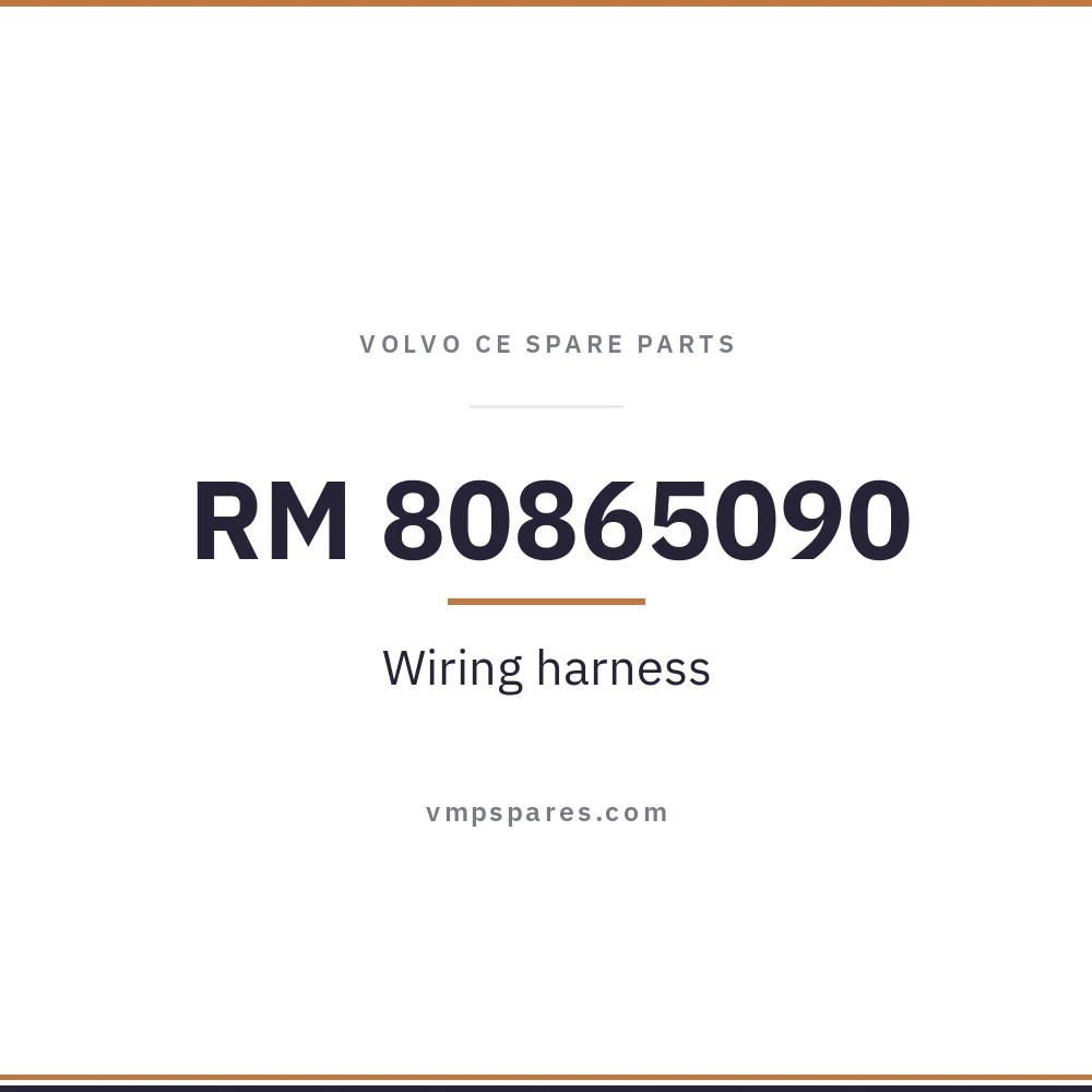 RM 80865090 – Wiring harness