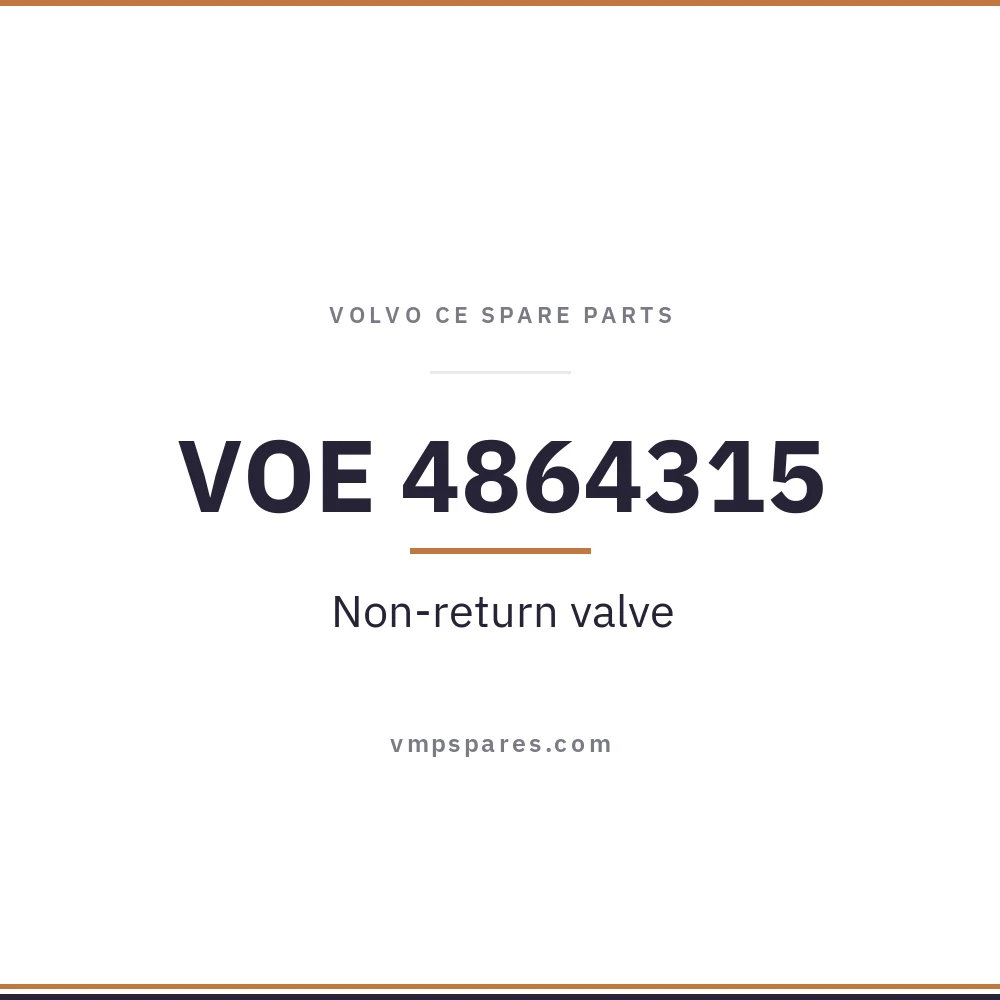 VOE 4864315 – Non-return valve