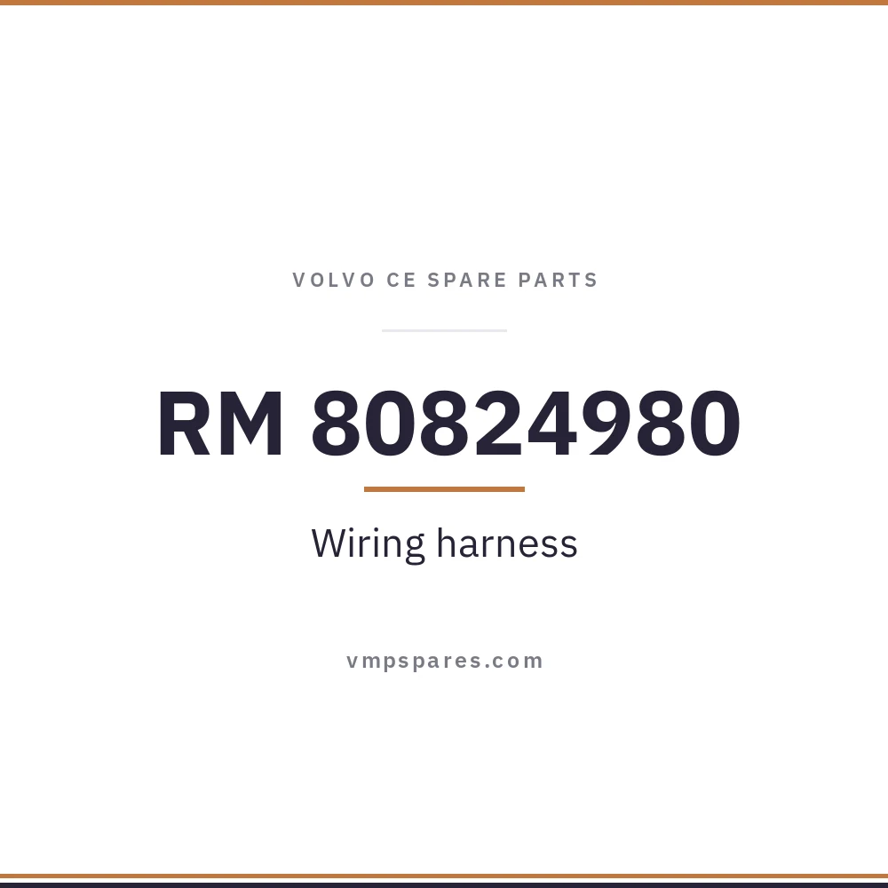 RM 80824980 – Wiring harness