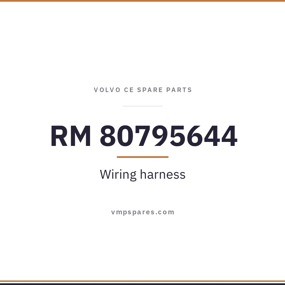 RM 80795644 – Wiring harness