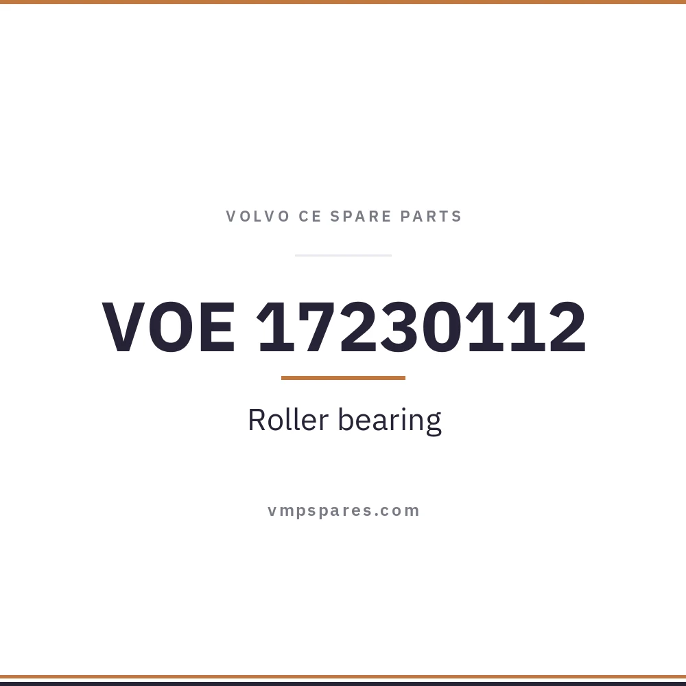 VOE 17230112 – Roller bearing