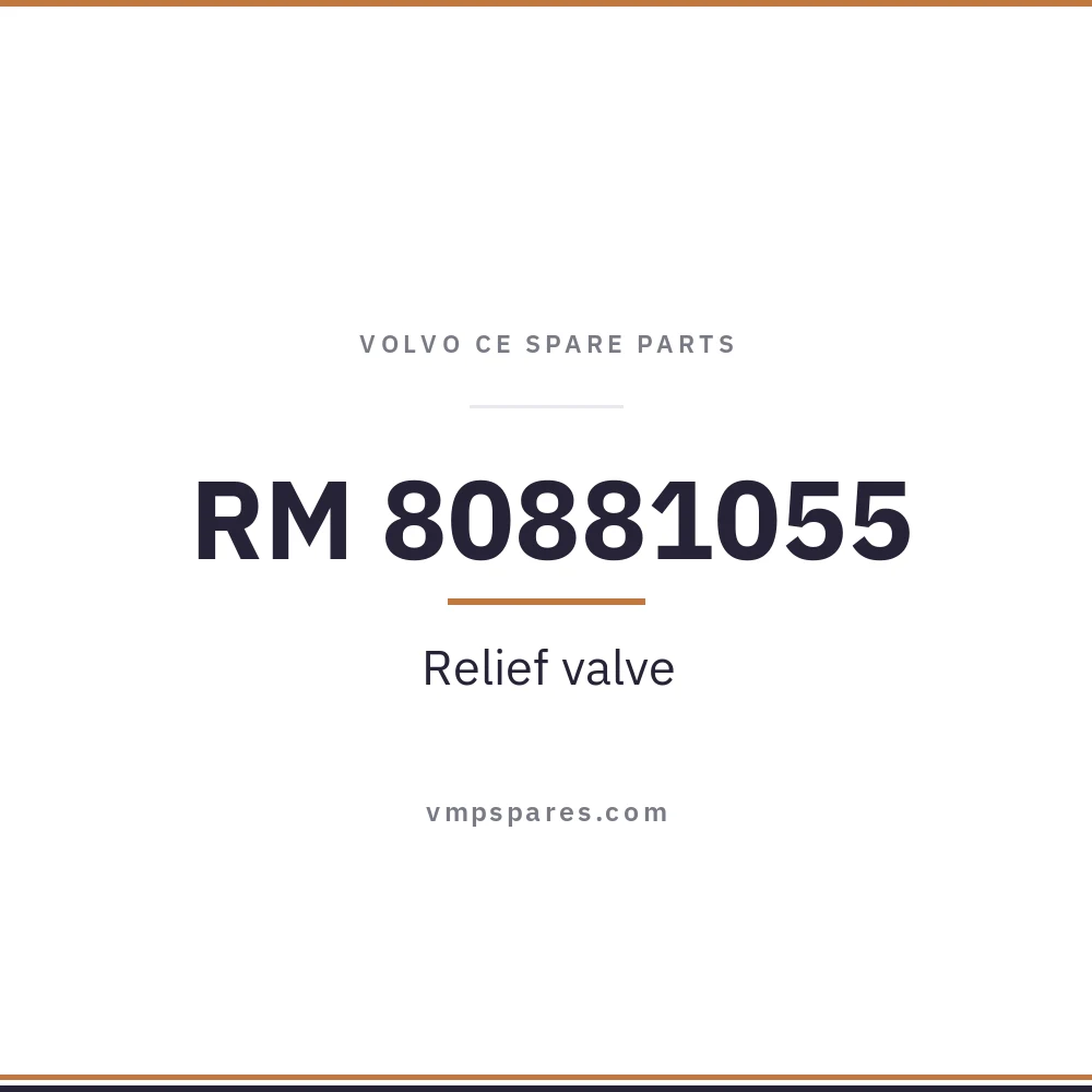 RM 80881055 – Relief valve