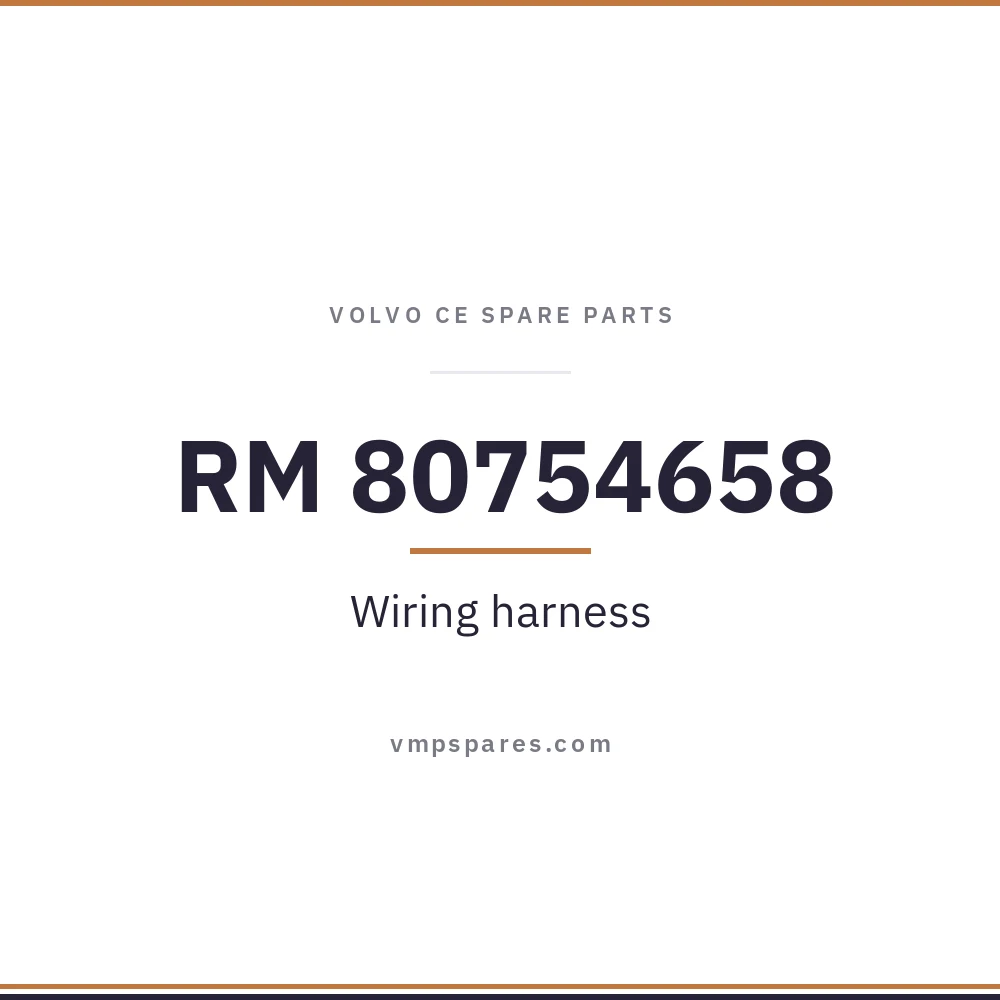 RM 80754658 – Wiring harness