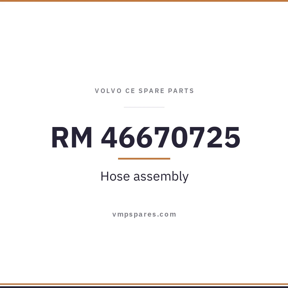 RM 46670725 – Hose assembly
