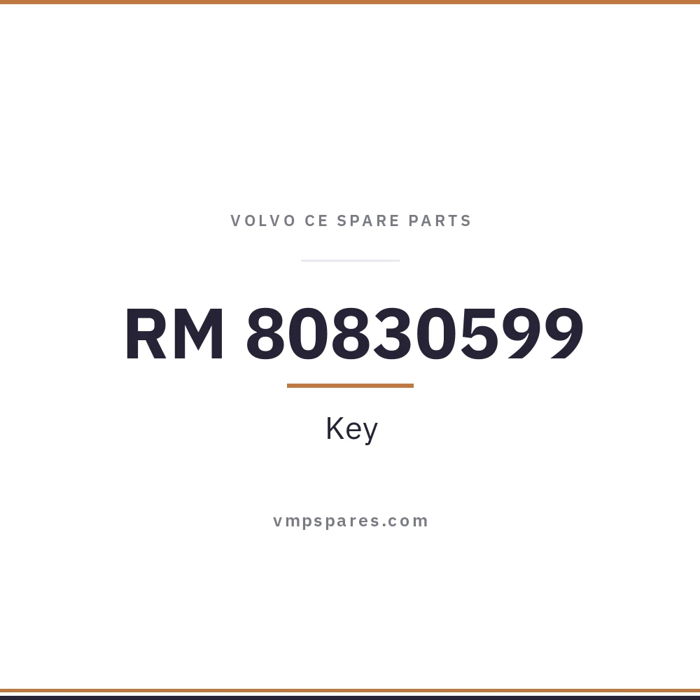 RM 80830599 – Key