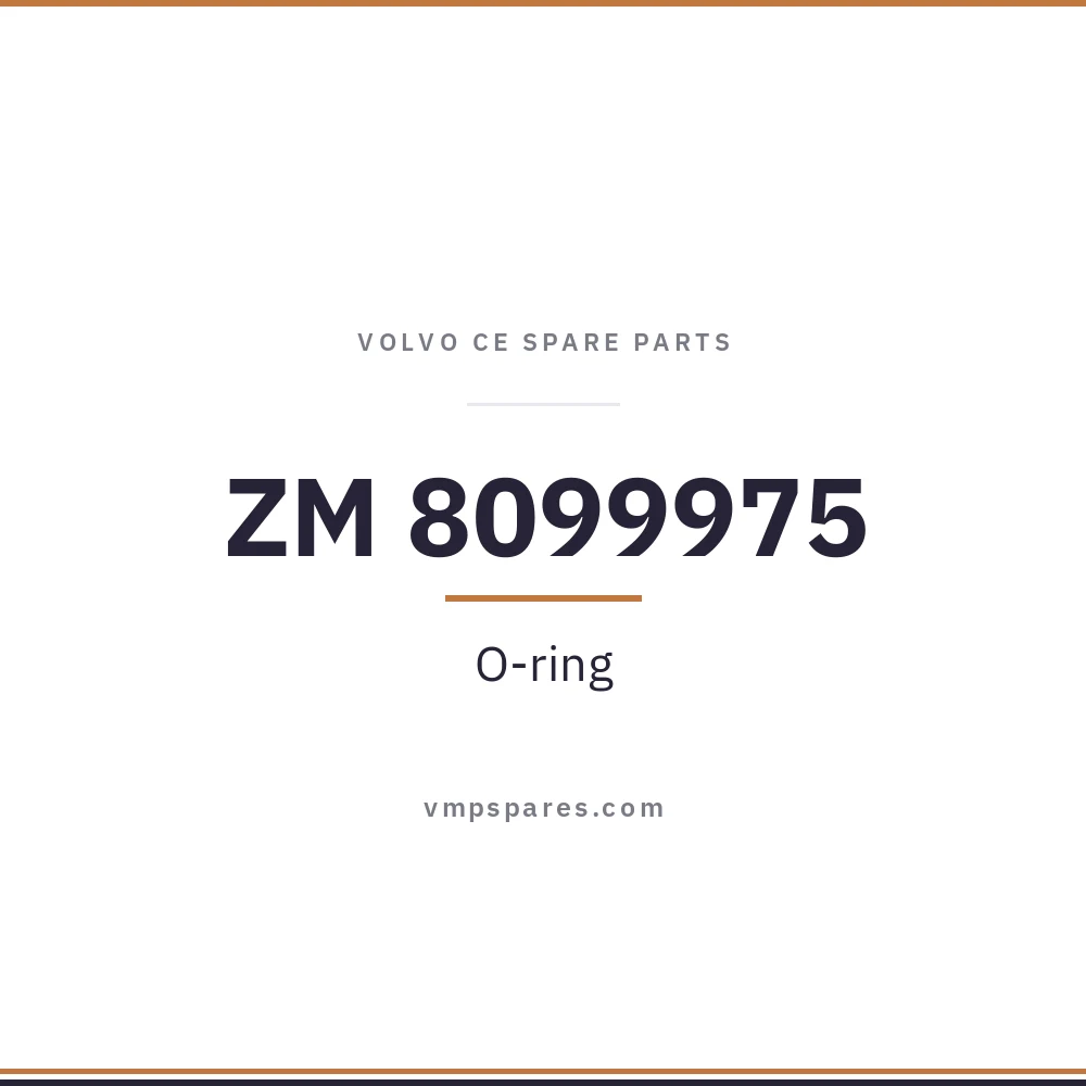 ZM 8099975 – O-ring