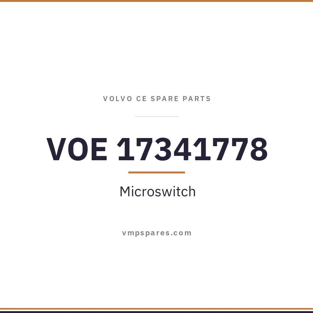 VOE 17341778 – Microswitch