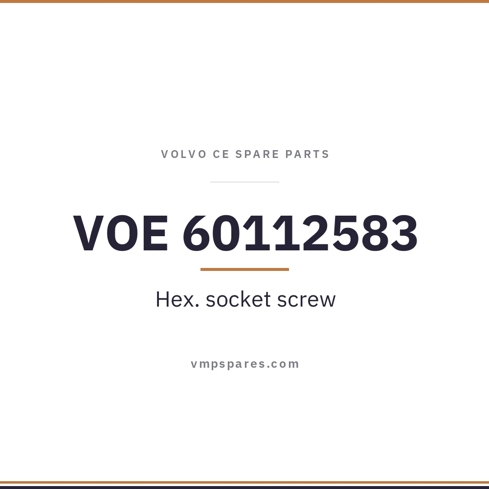 VOE 60112583 – Hex. socket screw