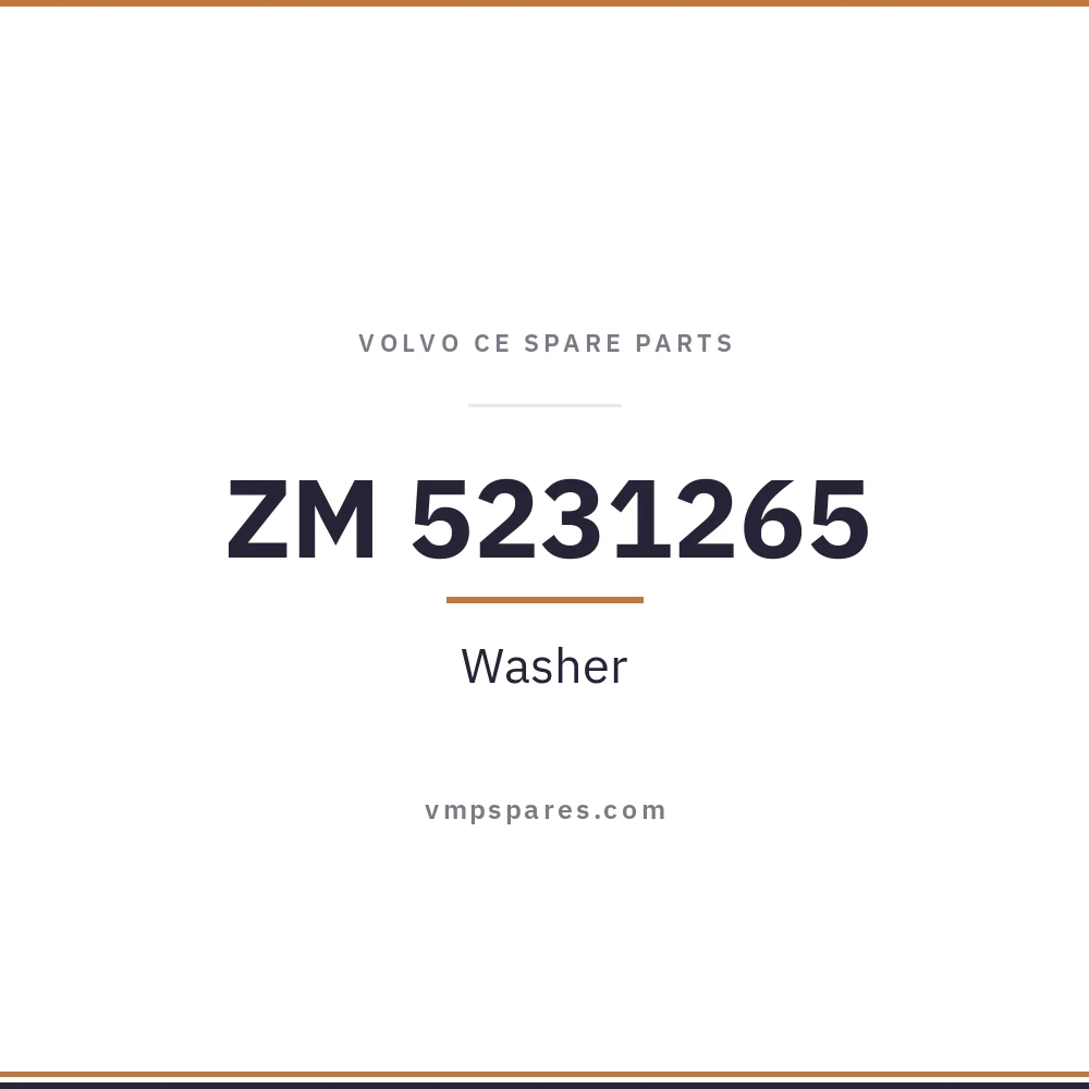 ZM 5231265 – Washer