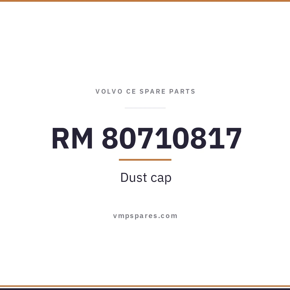 RM 80710817 – Dust cap