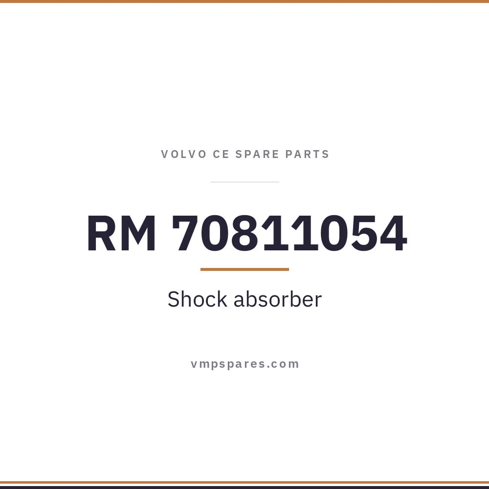 RM 70811054 – Shock absorber