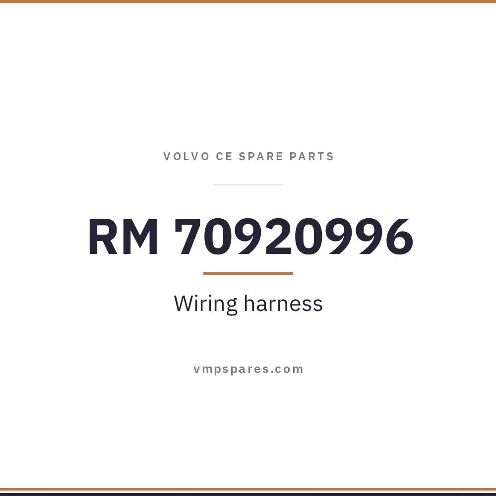 RM 70920996 – Wiring harness