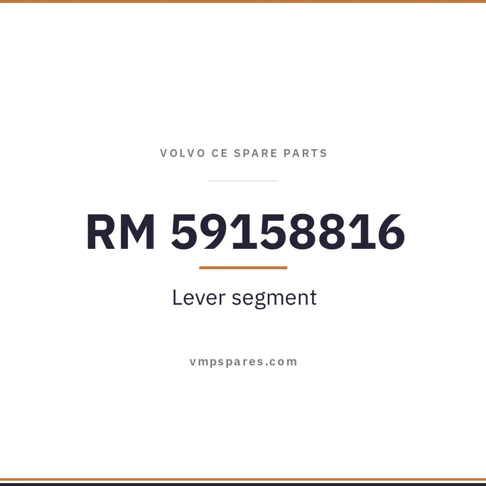 RM 59158816 – Lever segment