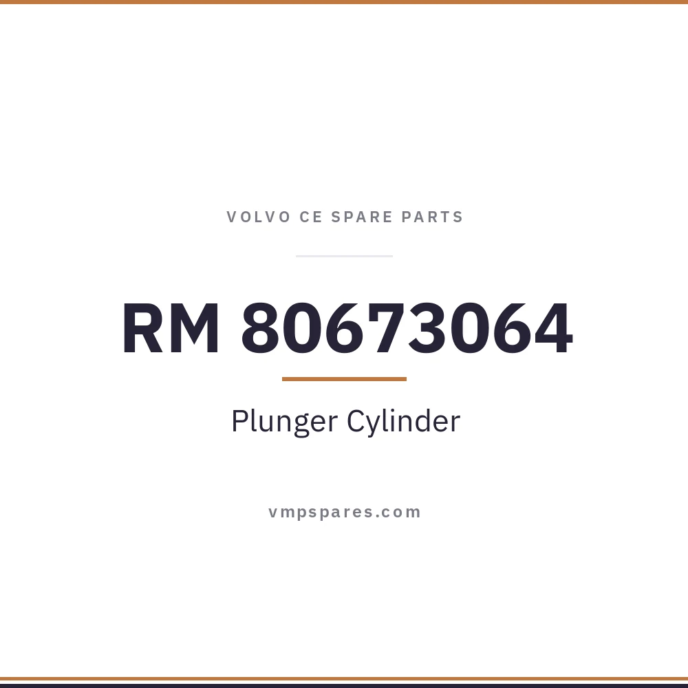 RM 80673064 – Plunger Cylinder