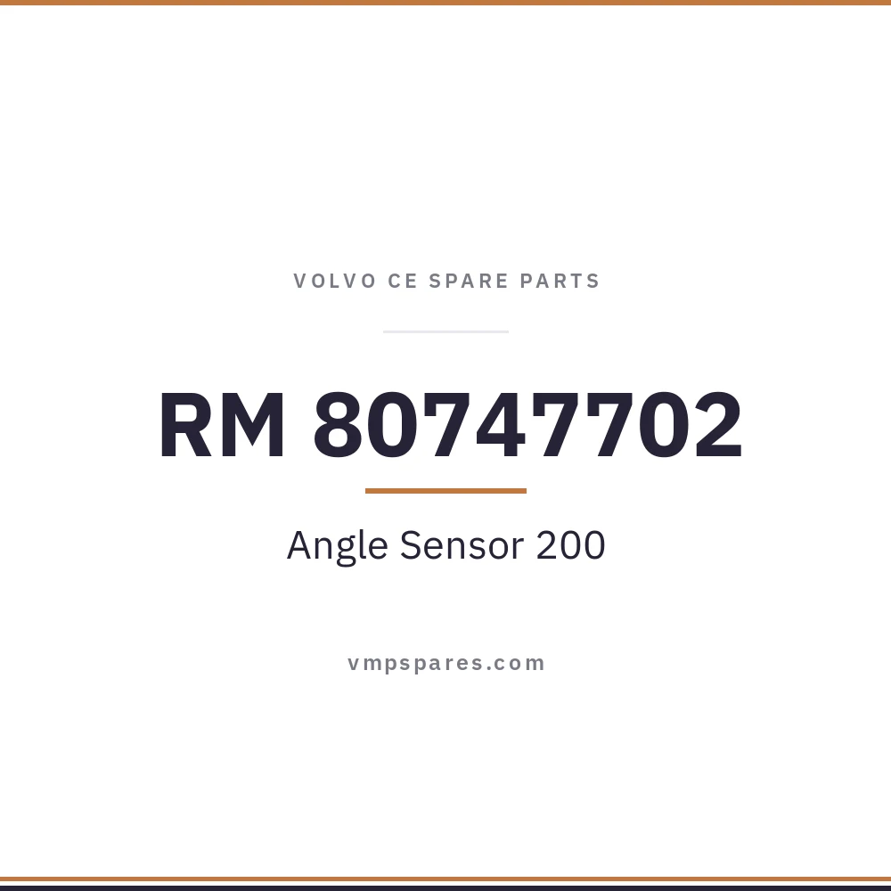 RM 80747702 – Angle Sensor 200