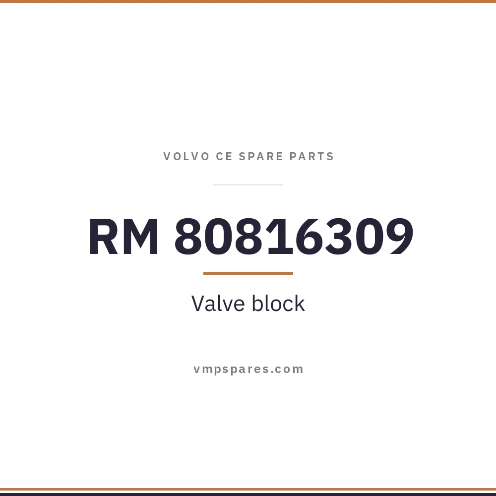RM 80816309 – Valve block