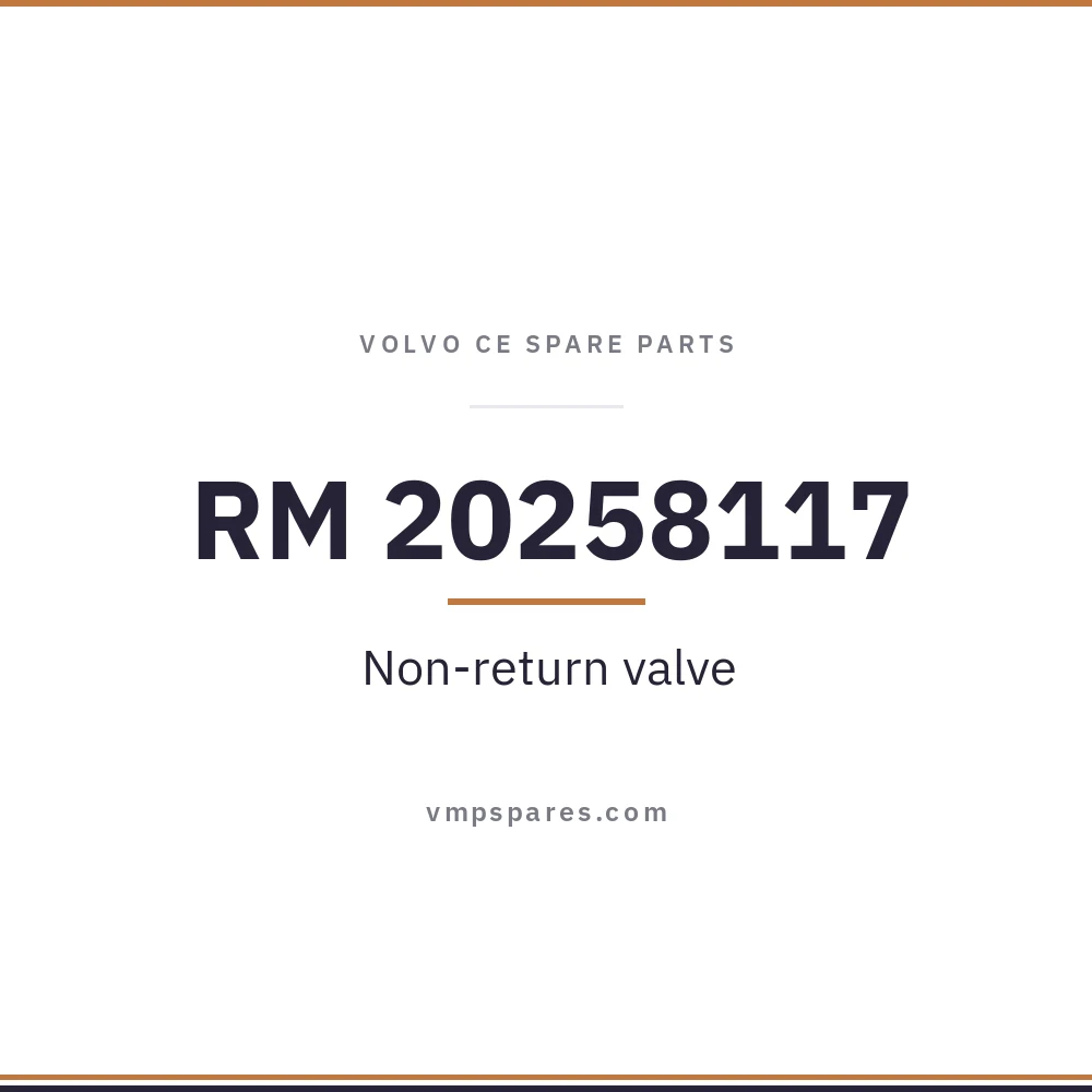 RM 20258117 – Non-return valve