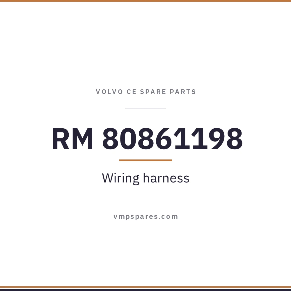RM 80861198 – Wiring harness