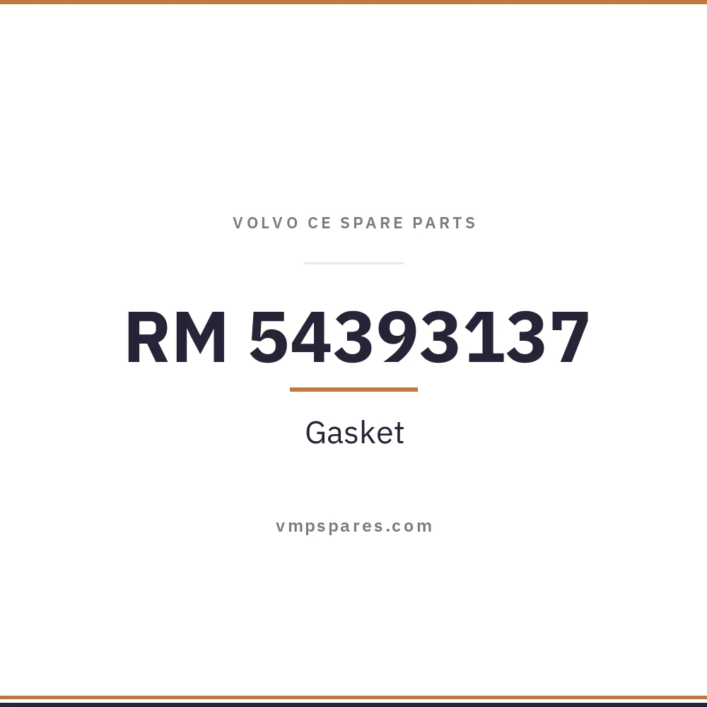 RM 54393137 – Gasket