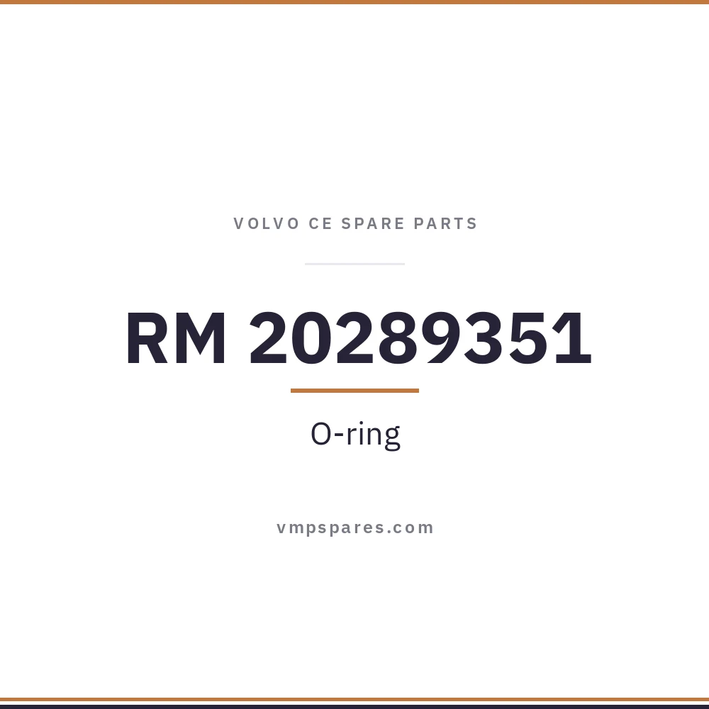 RM 20289351 – O-ring