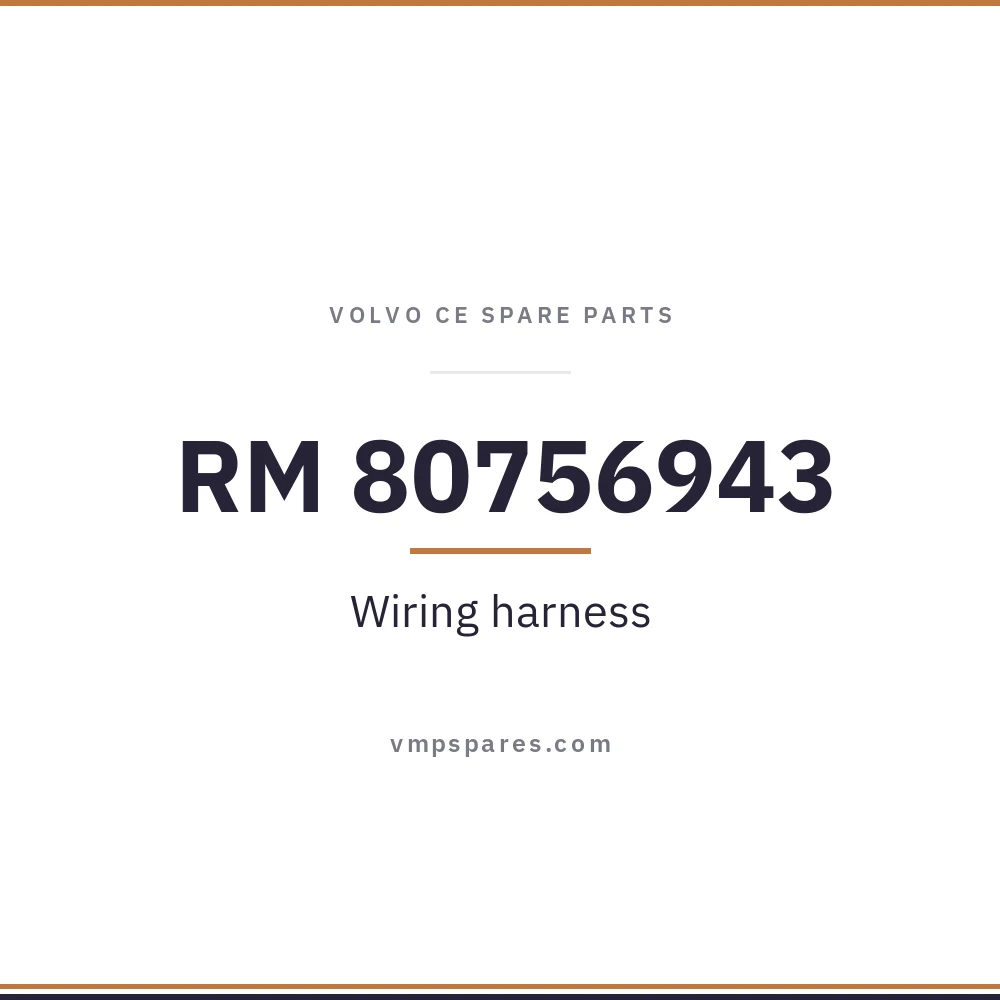 RM 80756943 – Wiring harness