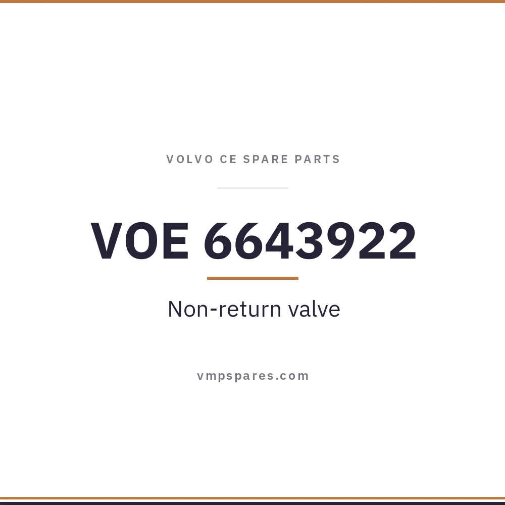 VOE 6643922 – Non-return valve