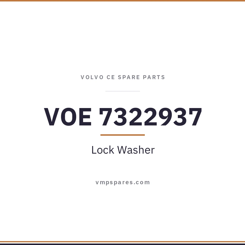 VOE 7322937 – Lock Washer