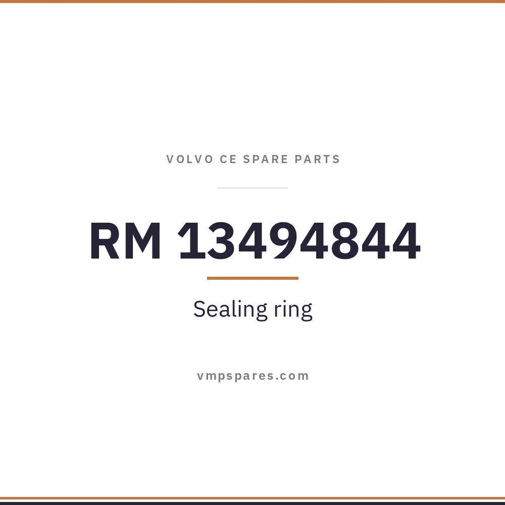 RM 13494844 – Sealing ring