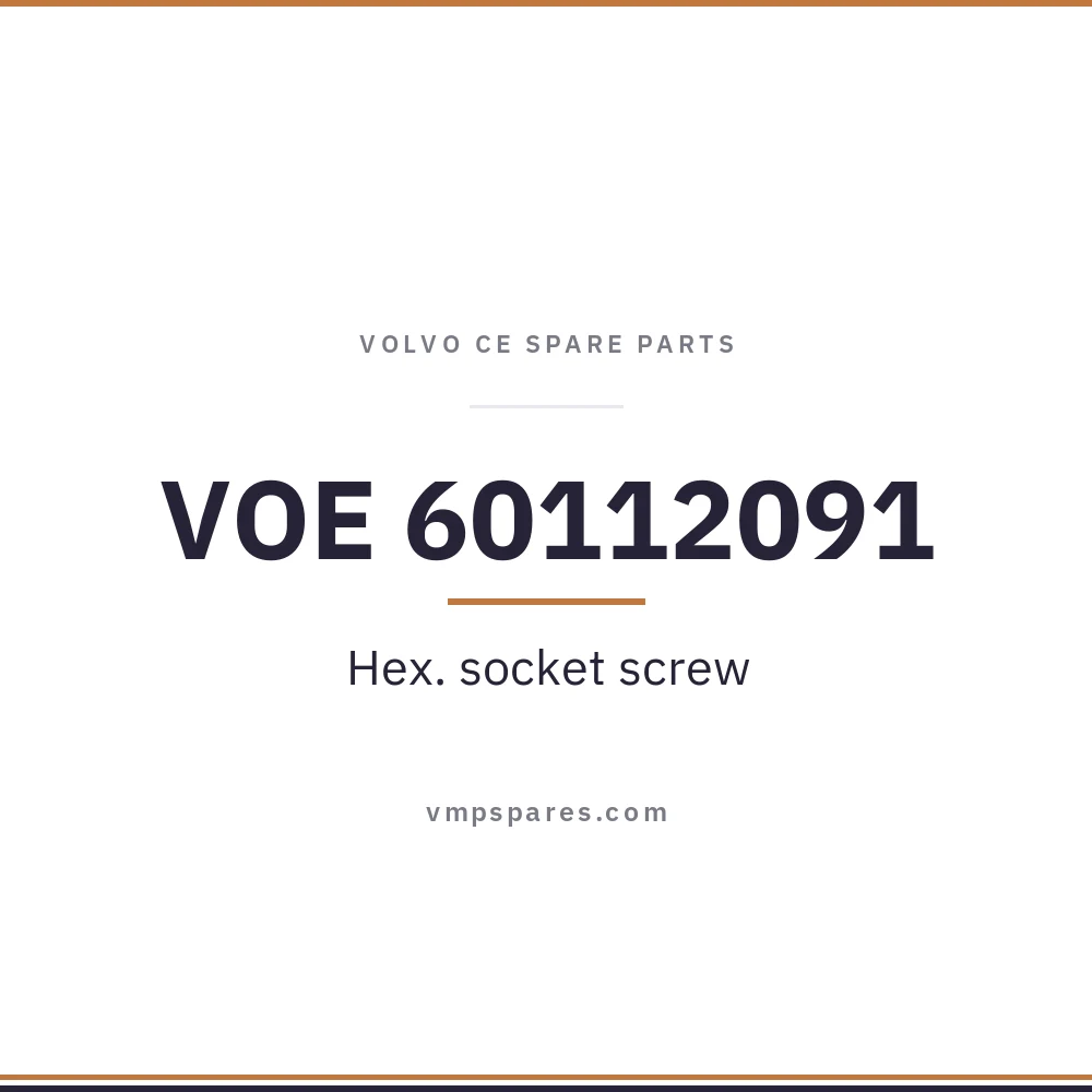 VOE 60112091 – Hex. socket screw