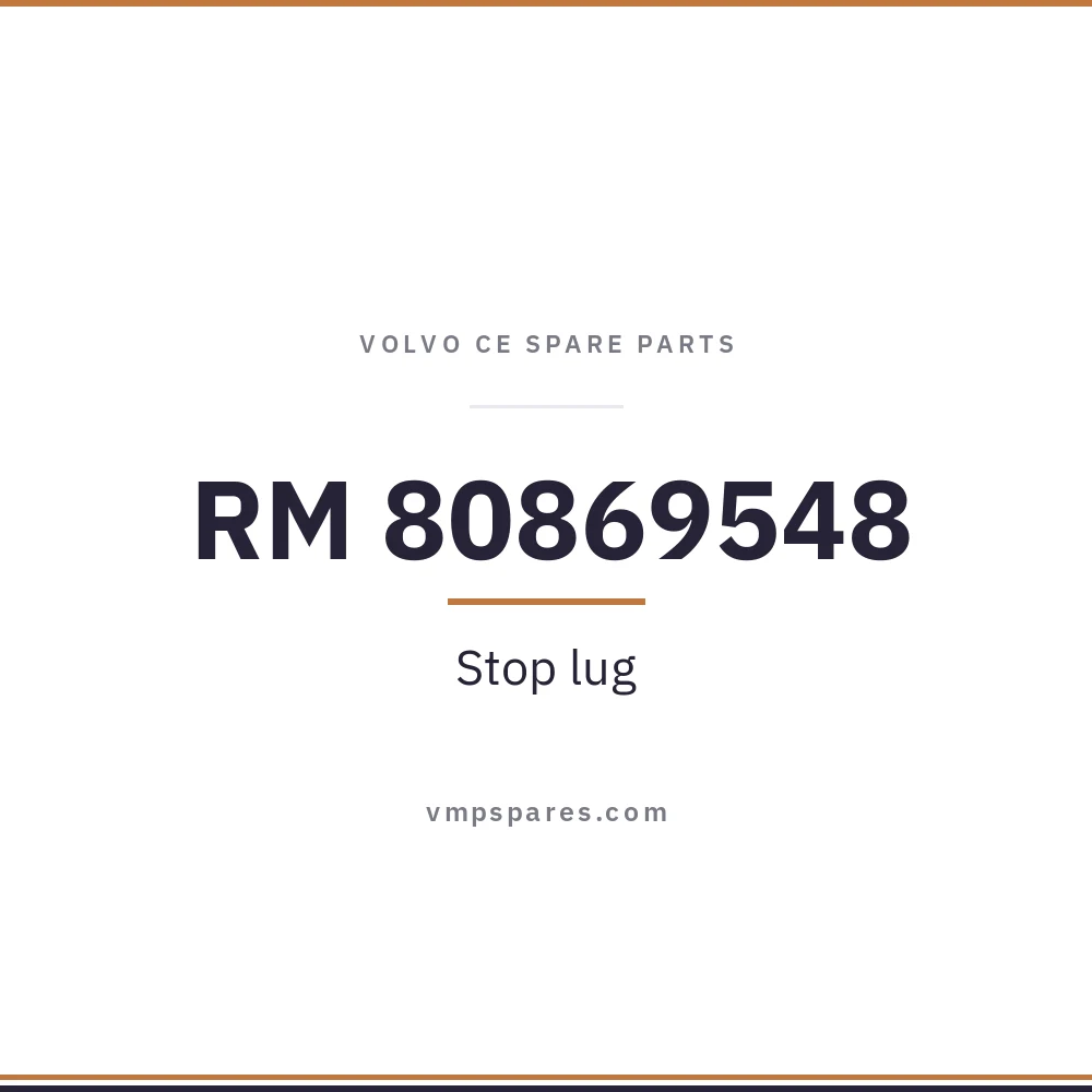 RM 80869548 – Stop lug