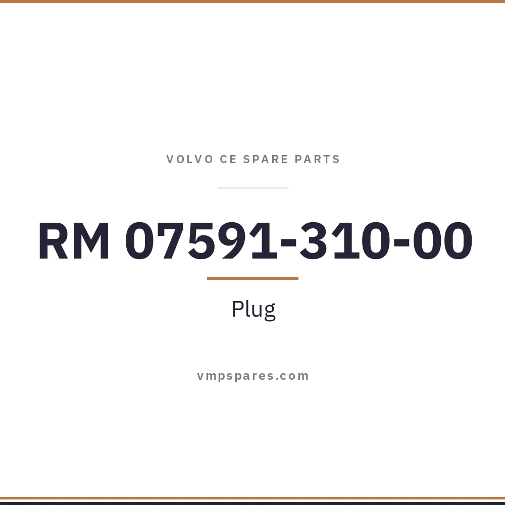 RM 07591-310-00 – Plug