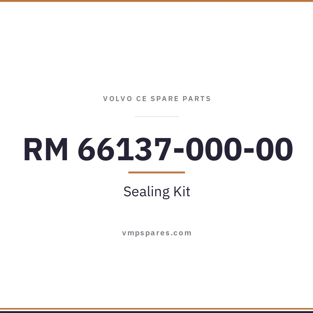RM 66137-000-00 – Sealing Kit