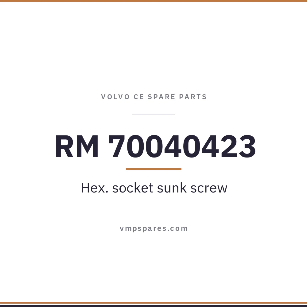 RM 70040423 – Hex. socket sunk screw