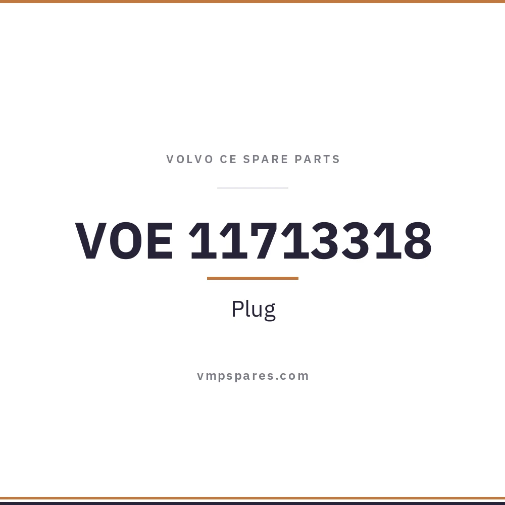 VOE 11713318 – Plug