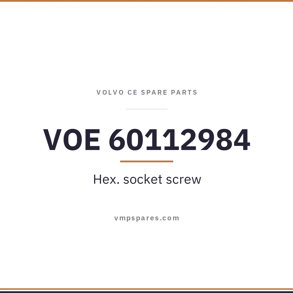 VOE 60112984 – Hex. socket screw