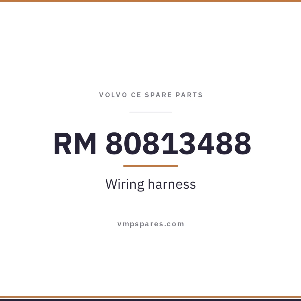 RM 80813488 – Wiring harness