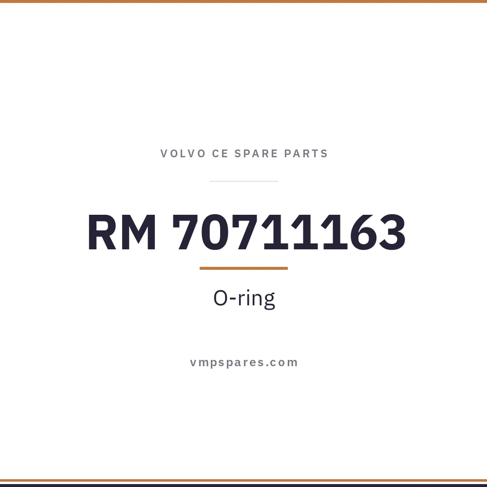 RM 70711163 – O-ring