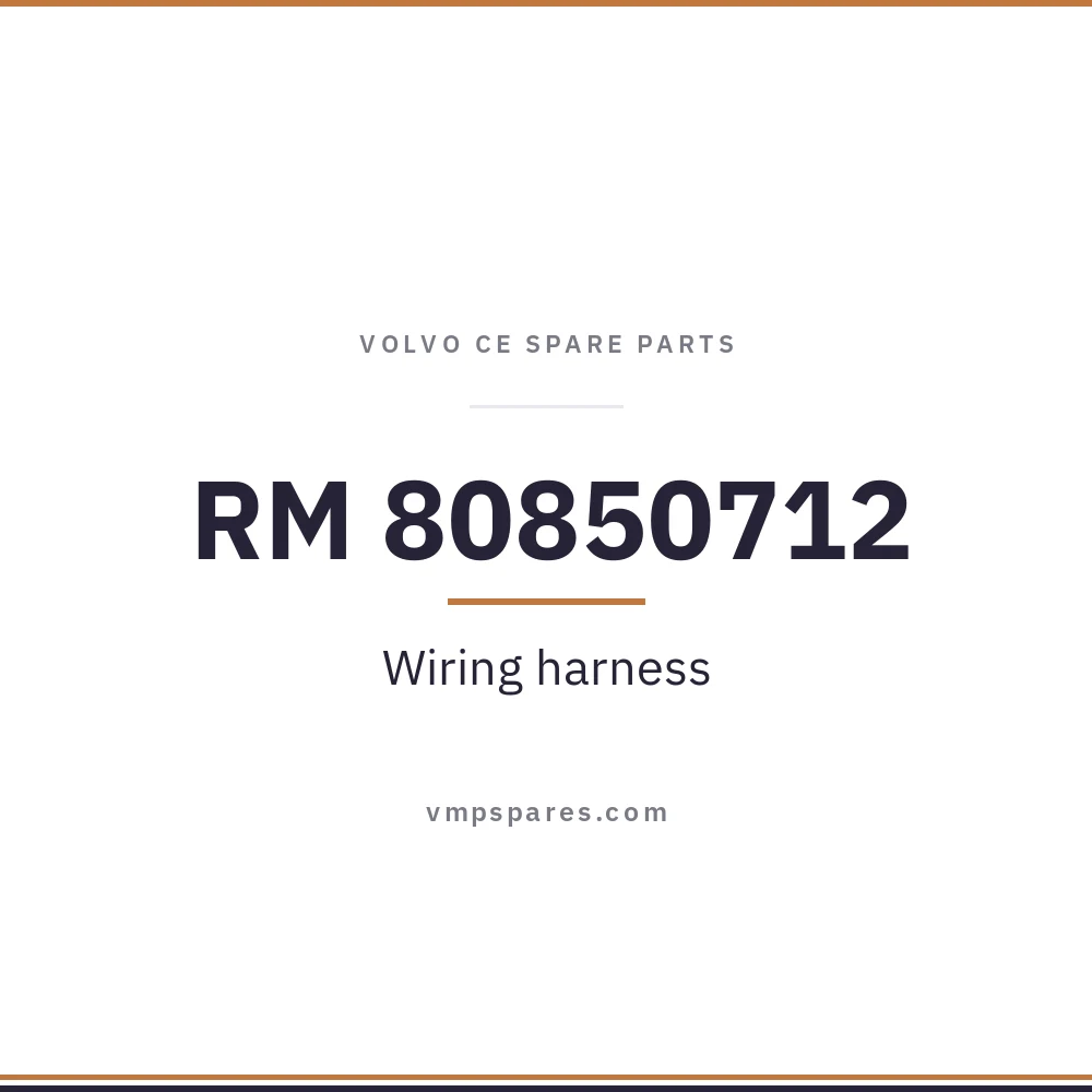 RM 80850712 – Wiring harness