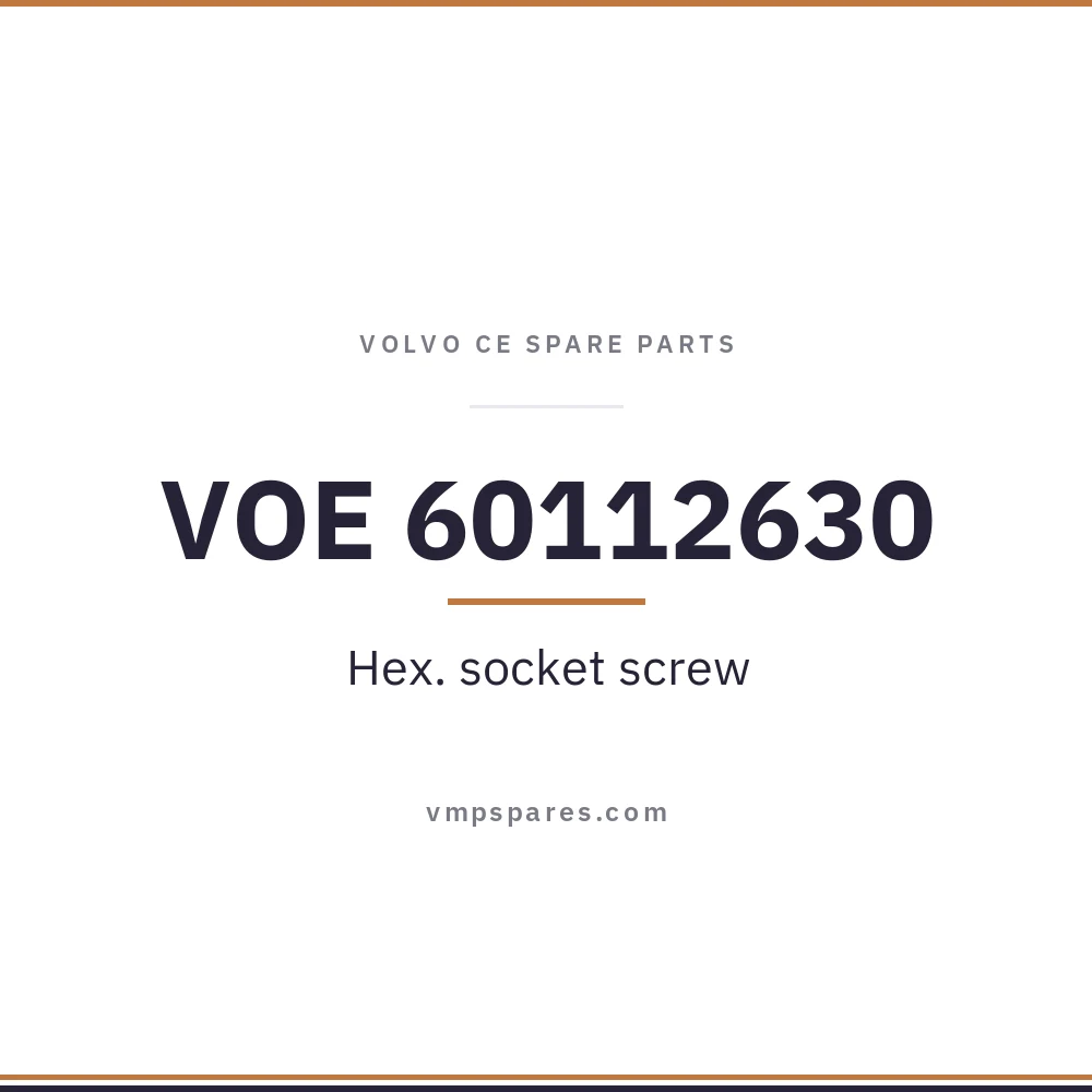 VOE 60112630 – Hex. socket screw