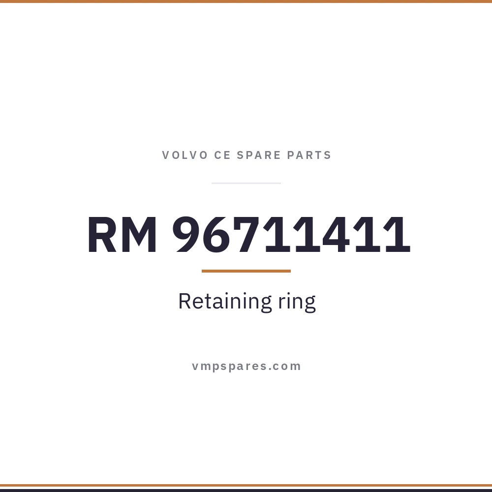 RM 96711411 – Retaining ring