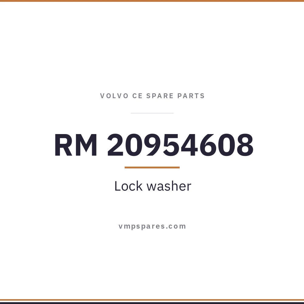 RM 20954608 – Lock washer