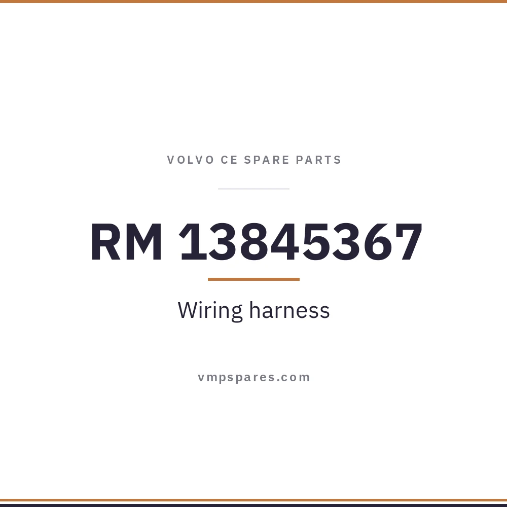 RM 13845367 – Wiring harness
