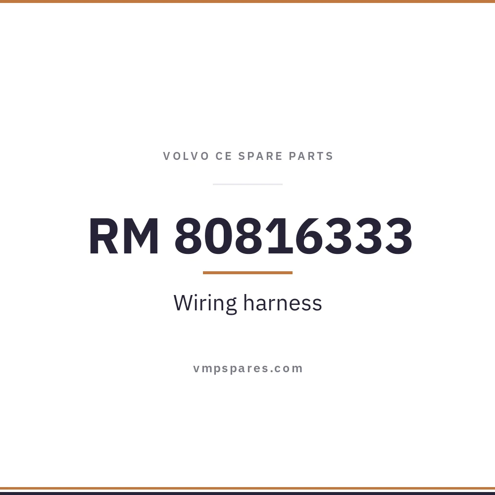 RM 80816333 – Wiring harness