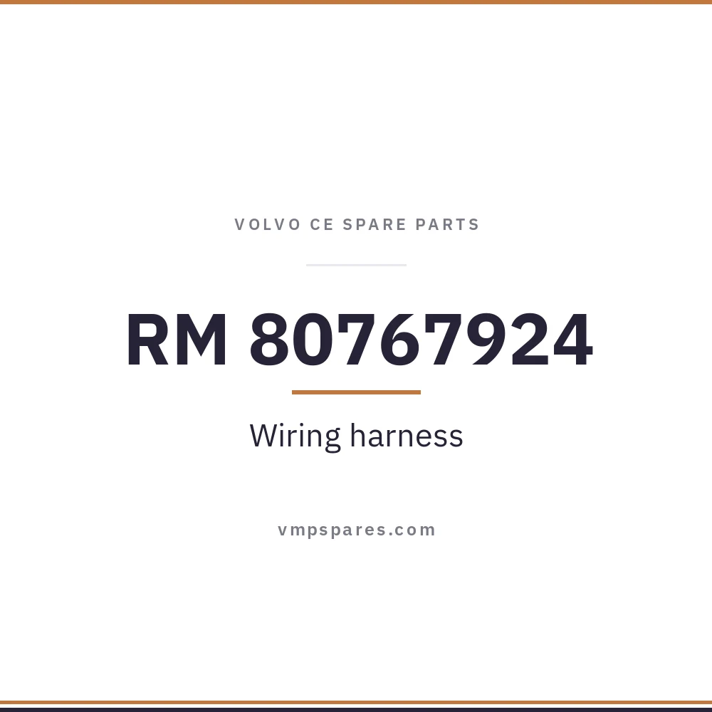 RM 80767924 – Wiring harness