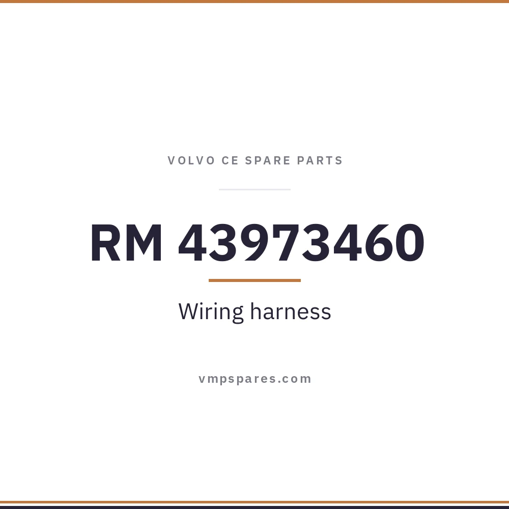 RM 43973460 – Wiring harness