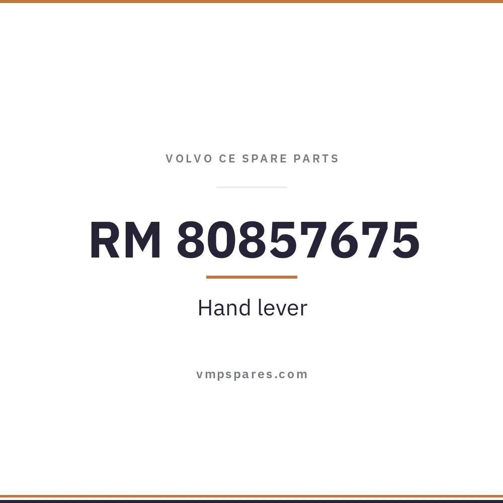 RM 80857675 – Hand lever