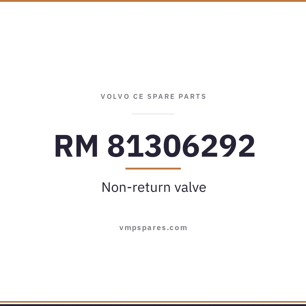 RM 81306292 – Non-return valve
