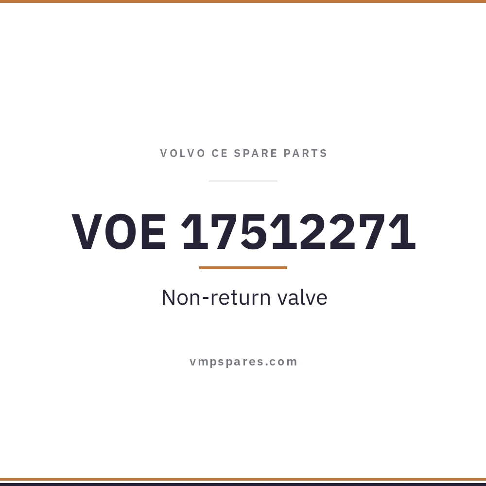 VOE 17512271 – Non-return valve
