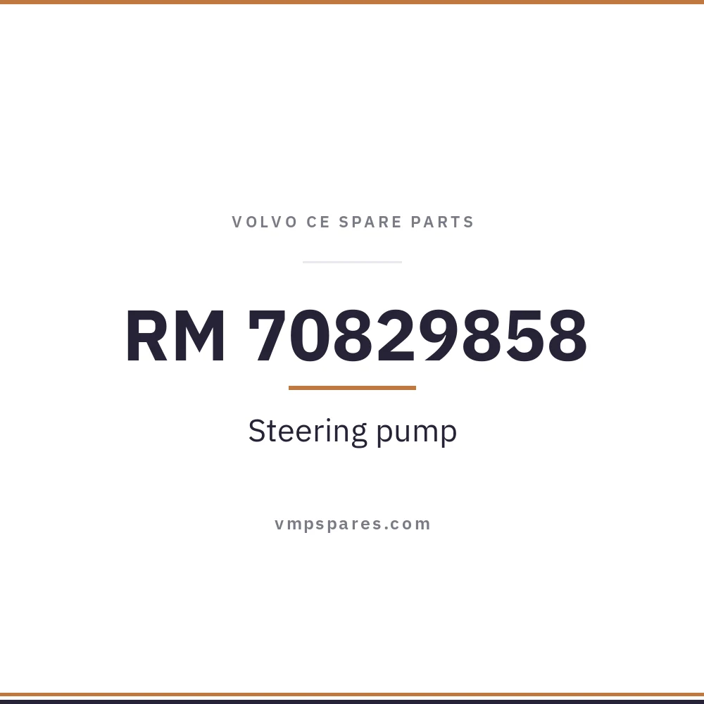 RM 70829858 – Steering pump