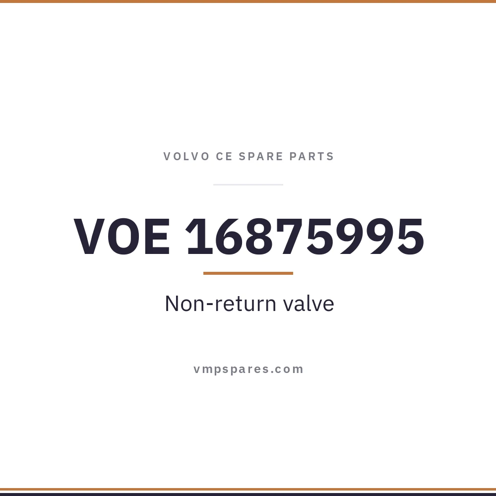 VOE 16875995 – Non-return valve